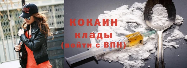 тгк Алексин