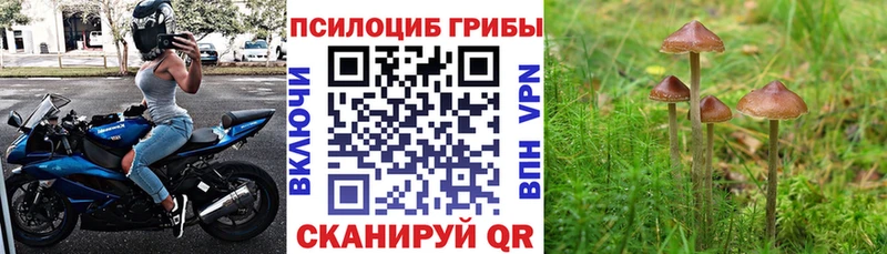 хочу наркоту  Сольвычегодск  mega онион  Галлюциногенные грибы прущие грибы 